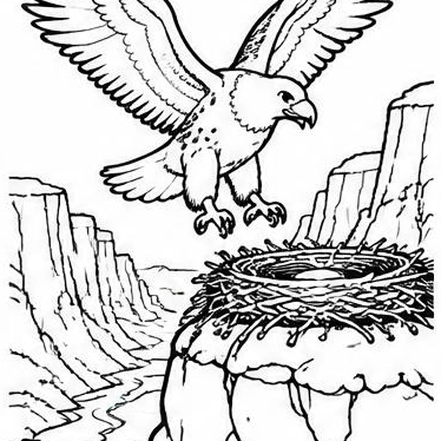 Canyon Eagle coloring sheet